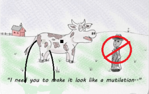 cattle mutilation