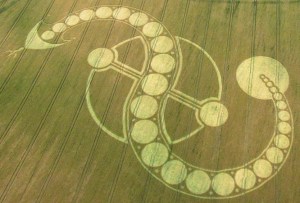 Dragon Cosmic Serpent Crop Circle West Woodhay Down Wiltshire 29th July 2011