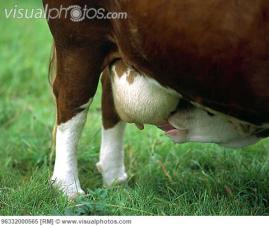 ?????????????????????????????????????