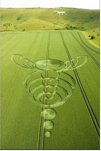 Crop Caduceus Bee Crop Circle