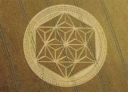flower of life 2