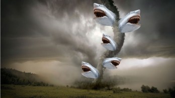sharknado-attack