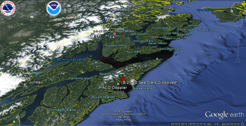 11-10-13 Alaska Sea Stars