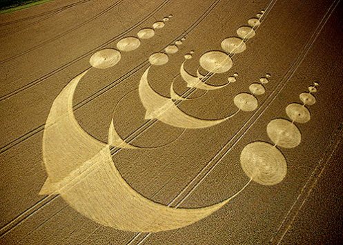 Crop_Circle_Birds