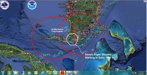 Florida Bay Blooms