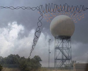 nexrad
