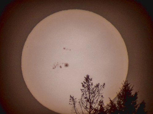 Rocky-Raybell-IMG_5285a_1389067908