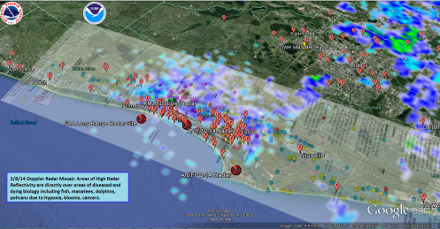 2-8-14-indian-river-lagoon-florida