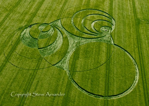 038_Hackpen_Hill_Wiltshire_30th_May_2011_Barley_OH2