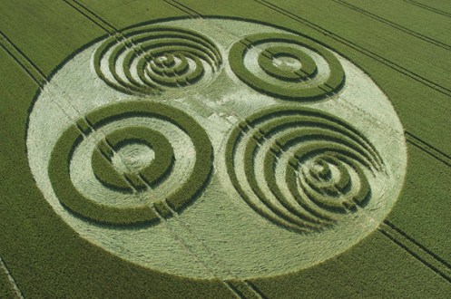 10-Savernake-Forest-Wiltshire-06-07-06-Wheat-OH