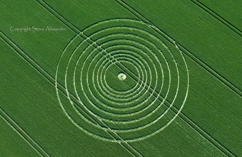 31_The_Ridgeway_Avebury_Wiltshire_06_07_2013_Wheat_OH