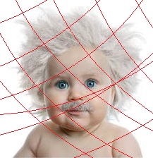 einstein baby