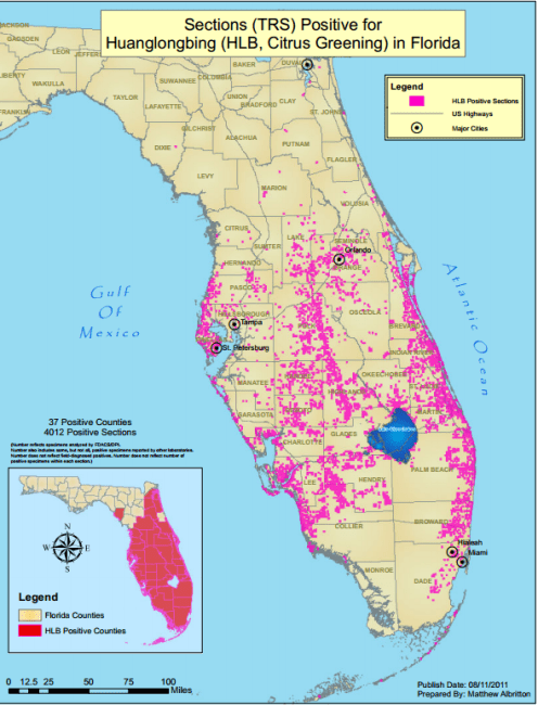 Florida Citrus Greening