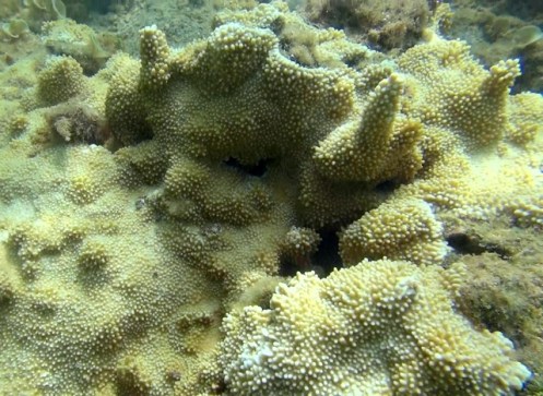 Anini6-14b (640x468)