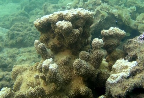 Anini6-14e (640x440)