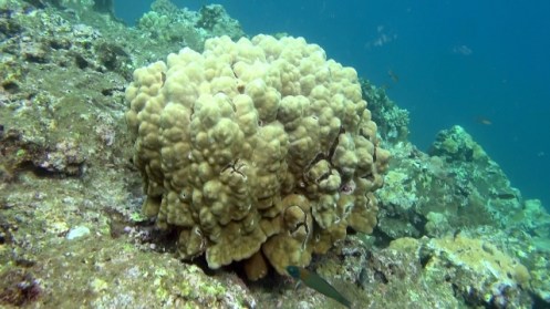 Han6-5-14a (640x360)