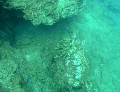 Han6-5-14r (640x494)