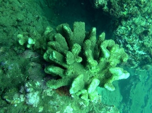 Han6-5-14t (640x477)