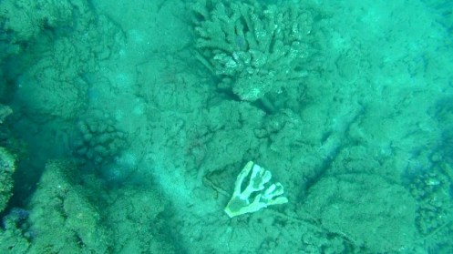 Han6-5-14u (640x360)