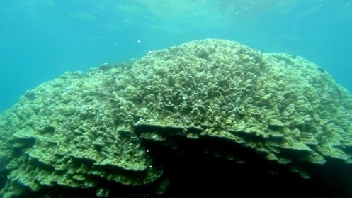 TunnelsGiant1 (640x360)