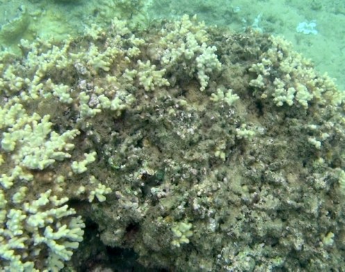 TunnelsGiant11 (640x506)