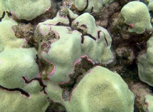 TunnelsGiant13 (640x470)