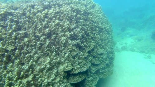 TunnelsGiant2 (640x360)