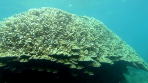 TunnelsGiant3 (640x360)