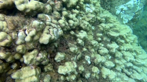 TunnelsGiant4 (640x360)