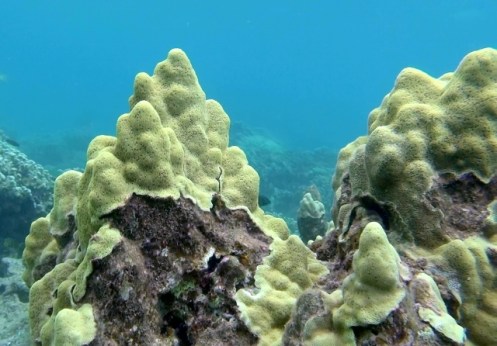 TunnelsGiant6 (640x446)