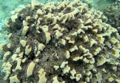 TunnelsGiant7 (640x444)