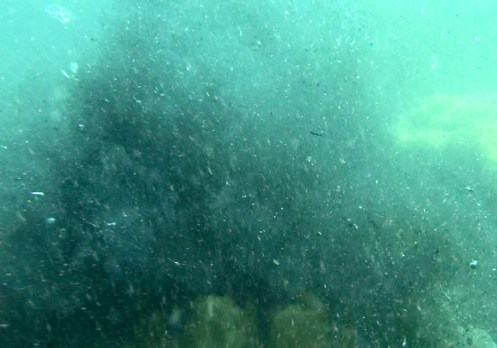 ???????????????????????????????