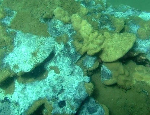 ???????????????????????????????