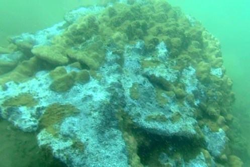 ???????????????????????????????