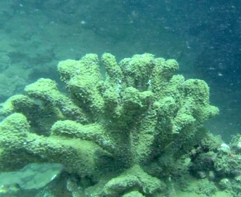 ???????????????????????????????