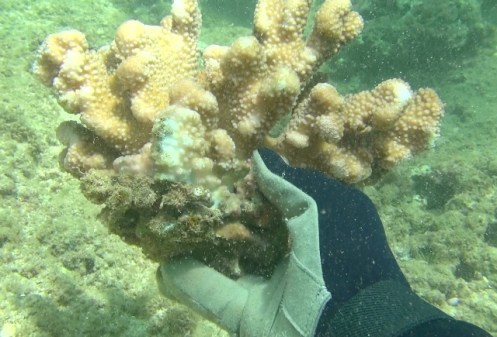 ???????????????????????????????