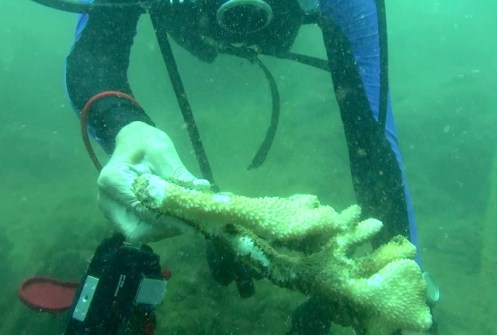 ???????????????????????????????