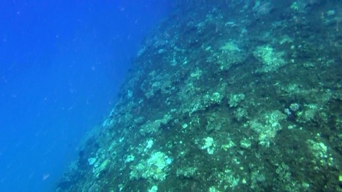 ???????????????????????????????