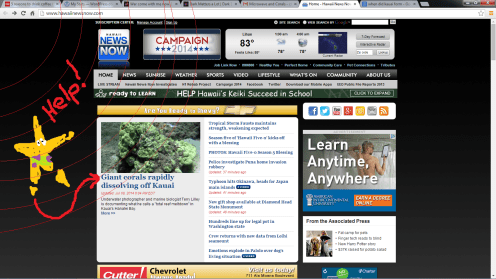 kauai coral dissolving