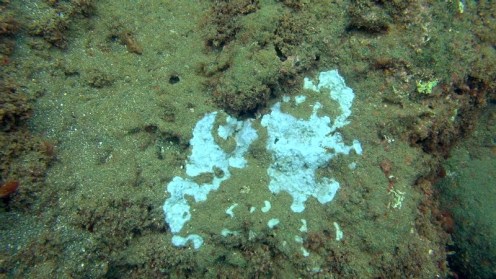 ???????????????????????????????