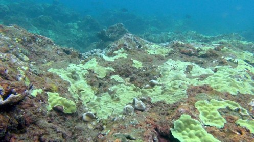 ???????????????????????????????