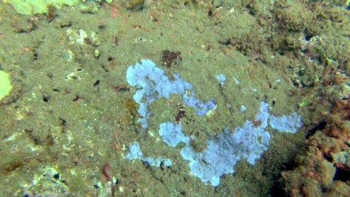 ???????????????????????????????