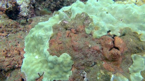 ???????????????????????????????