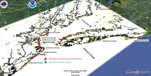 VA Dolphin Strandings
