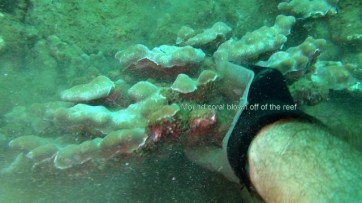 ???????????????????????????????