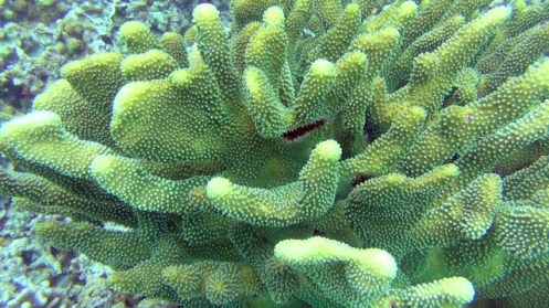 ???????????????????????????????