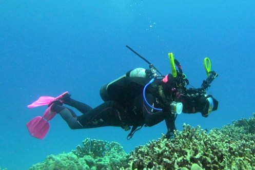 ???????????????????????????????