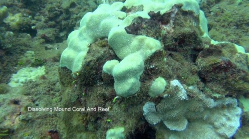 ???????????????????????????????