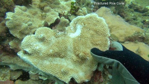 ???????????????????????????????