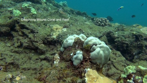 ???????????????????????????????